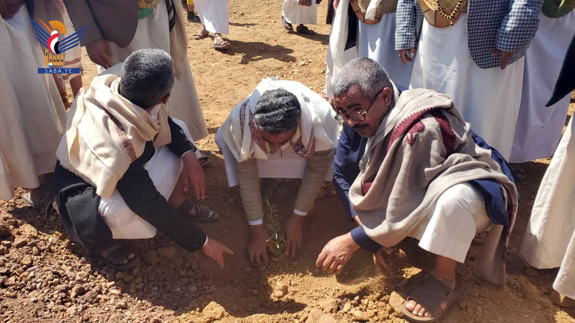 تدشين موسم التشجير بمحافظة المحويت